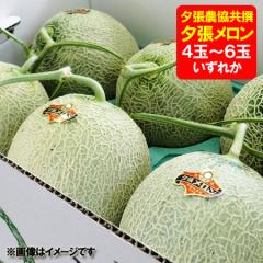 �󂠂� �[�������� �������� �[�������� �킯���� �[�������� 8kg �D�i 4�ʁ`6�ʓ� 1�� �䂤�΂胁���� �t���[�c ������ �ʕ� ��������