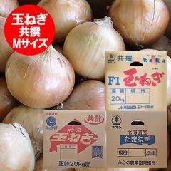 ���������� �k�C�� �ʂ˂� 20kg �������� ���܂˂� 20kg M�T�C�Y �ʂ˂� �� ���� �^�}�l�M ��� ���܂˂� �k�C���Y �x�ǖ� �������� �k��