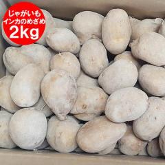 �ŒZ������ �C���J�̂߂��� �������� �k�C�� ���񂩂̂߂��� ���Ⴊ���� 2kg ( 2�L�� ) M�T�C�Y ��� �W���K�C��