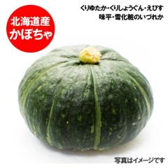 �ŒZ������ ��� ���ڂ��� �������� ��Z �k�C�� �J�{�`�� 1�� 1.3kg ��Z �͎��n�����ɂ��A���т� / ��\�㗢 / ����䂽�� / ���肵