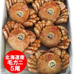 �уK�j �������� �т��� �k�C�� �l��� �уK�j �{�C�� �k�C���Y �ъI 5���� 1�P�[�X �v4kg ����� �J�j �уK�j �^�O�t��