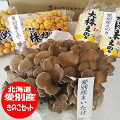 ̂Zbg kC  ̂ Zbg ܂ ̂ Ȃ߂  kC ׂY ̂ Zbg  / GmL / i