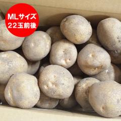 ���������� ���Ⴊ���� �k������ �������� �L�^�A�J�� 2kg ML�T�C�Y �k�C�� �W���K�C�� ��� ����������