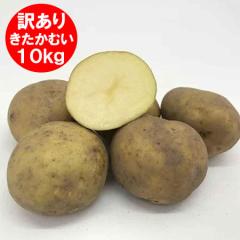 �󂠂� ���Ⴊ���� 10kg �������ނ� �������� �W���K�C�� �������ނ� M�T�C�Y �k�C�� ��� �L�^�J���C �󂠂藝�R�͋ʂ�������