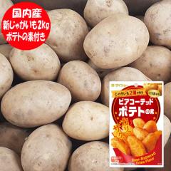 ���������� �V���Ⴊ���� �n�鏒 ���Y ���Ⴊ���� 2kg �������� �r�A�R�[�e�b�h �|�e�g�̑f �t�� 1�� ���� ��B ���Y �V�W���K�C�� L�T�C