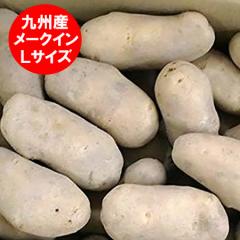���������� �V���Ⴊ���� ���[�N�C�� �������� ���[�N�C�� 2kg L�T�C�Y ��B�Y �V �W���K�C�� ��� ���Ⴊ����