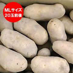 ���������� ���Ⴊ���� ���[�N�C�� �������� ���[�N�C�� 2kg ML�T�C�Y ( ��M ) �k�C�� �W���K�C�� ���