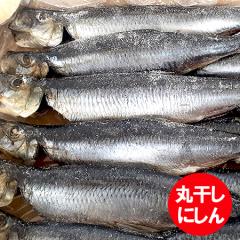 ɂ ۊ   ۊɂ 12 1  ɂ Ă ɍœK  y  V[t[h jV YHi