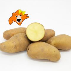 �󂠂� �k�C�� ���Ⴊ���� ���[�N�C�� �k�C���Y ���Ⴊ���� 10kg ���[�N�C�� M����2L�T�C�Y �W���K�C�� ��� ���Ⴊ����