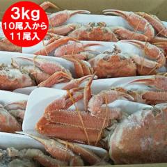 �k�C���Y �I�I�Y���C�K�j �{�C�� ���� �p �I�I�@�Y���C�K�j �p 10��������11������ �Y���C�K�j�p ���v3kg�O�� �J�j �I ���� �k�C�� ����