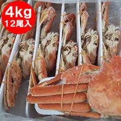 �k�C�� �I�I�Y���C�K�j �{�C�� ���� �p �������� �I�I�@�Y���C�K�j �p 12������ �Y���C�K�j�p ���v4kg�O�� �J�j �I ���� �k�C�� ����� 