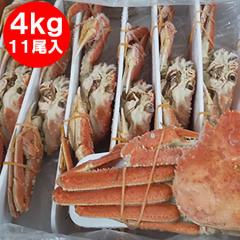 �k�C�� �I�I�Y���C�K�j �{�C�� ���� �p �������� �I�I�@�Y���C�K�j �p 11������ �Y���C�K�j�p ���v4kg�O�� �J�j �I ���� �k�C�� ����� 