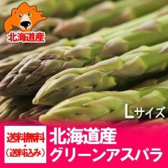 �A�X�p�� �������� �A�X�p���K�X �k�C�� �O���[���A�X�p��  �k�C���Y �O���[���A�X�p�� L�T�C�Y 1.5kg ��� �A�X�p���K�X