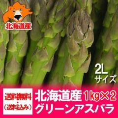 �A�X�p�� �k�C�� �A�X�p���K�X �������� �k�C���Y �A�X�p�� 2kg (1kg�~2) �O���[���A�X�p�� 2L�T�C�Y ��� �A�X�p���K�X