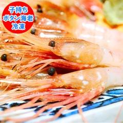 �����������@�{�^���G�r �q���� �������� �ڂ��񂦂� �h�g�p �{�^���G�r �h�g �{�^���C�V M�T�C�Y 2kg ( 500g�~4 ) �{�^������ �h���g ��