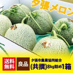 �[�������� �������� �[�������� 8kg�@6�ʓ� 1�� (1�P�[�X) �k�C�� �[�� ������ �Ǖi �[�������� �[���_������ ������ �䂤�΂�߂�� ��