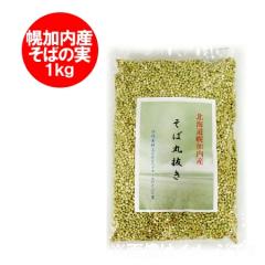 �����������@�V���΁@���� ���΂̎� �������� �����̎� �k�C�� �y�����Y ���� �۔��� 1kg ( 1000 g ) �\�o�̎� �G��