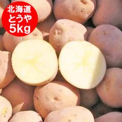 ���������� ���Ⴊ���� 5kg �Ƃ��� �k�C�� �W���K�C�� �|�^�[�W�� �J���[�ɍœK �Ƃ��� L�T�C�Y �k�C���Y �W���K�C�� ��� ���Ⴊ����