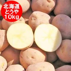 �ŒZ������ ���Ⴊ���� 10kg �Ƃ��� �k�C�� �W���K�C�� �|�^�[�W�� �J���[�ɍœK �Ƃ��� L�T�C�Y �k�C���Y �W���K�C�� ��� ���Ⴊ����