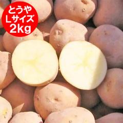 ���������� ���Ⴊ���� 2kg �Ƃ��� �k�C�� �W���K�C�� �|�^�[�W�� �J���[�ɍœK �Ƃ��� L�T�C�Y �k�C���Y �W���K�C�� ��� ���Ⴊ����
