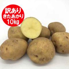 ���������� �󂠂� ���Ⴊ���� 10kg ���������� �������� �W���K�C�� �k������ M�T�C�Y����2L�T�C�Y �k�C�� ��� ���F�����Ⴊ���� �L�^