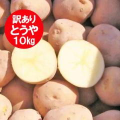 �󂠂� ���Ⴊ���� 10kg �Ƃ��� �������� �W���K�C�� �Ƃ��� M�T�C�Y �k�C�� �x�ǖ� �ӂ�� �Y ��� �󂠂藝�R�͋ʂ�������