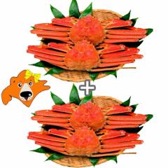 �Y���C�K�j�p �������� �Y���C�K�j �p �Y���C�K�j �{�C�� 2kg(500g�~4) ���킢�I �Y���C �Ⓚ �J�j / �I / ����