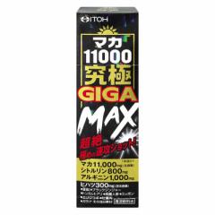 䓡@}J11000GIGA MAX50ml@