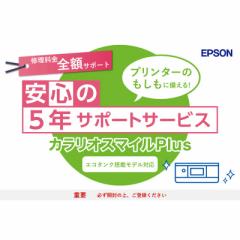 Gv\@EPSON@JIX}CPlus GR^Nڃf SzT|[g@SL80TD5