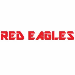 RED EAGLES(bhC[OX) P~J h TAC-003 PPCg 420ml TAC-003 