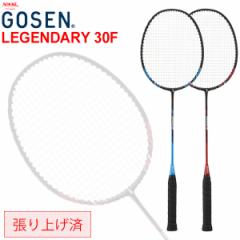 og~gPbg グ S[Z GOSEN LEGENDARY WF_[ 30F/SҌ p W[ pP[Xt  w 