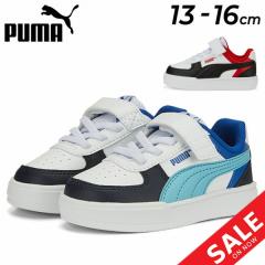 v[} xr[ LbY Xj[J[ 13-16cm qC  Nc LbYXj[J[/PUMA P[u ubN AC+ Ct@g/R[gX^C