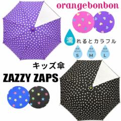 LbY P   qp 45cm 50cm 55cm qǂ ̎q j̎q JP n[g Orange Bonbon  ZAZZY ZAPS w ʊw  