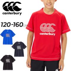 J^x[ LbY  TVc canterbury WjA g[jOeB[ 120cm 130cm 140cm 150cm 160cm qǂp Or[EGA g