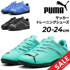 v[} WjA TbJ[ g[jOV[Y 20-24cm PUMA LbY A^bJg TT łyElH qǂp gV[ C [Jb