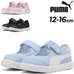 v[} xr[V[Y Xj[J[ PUMA R[gtbNX V3 i V Ct@gb12-16cm qC xr[C LbYV[Y ʃt@Xi