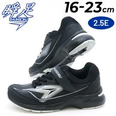 �u�� �L�b�Y �W���j�A �X�j�[�J�[ �j�̎q 2.5E�� 16-23cm �q���C �V�����\�NV10 �V���[�Y �q�ǂ� �j�� �{�[�C�Y�X�j�[�J�[ �^���C �ʊw 