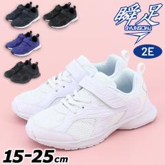 �u�� �W���j�A�V���[�Y �V�����\�N �X�j�[�J�[ ����񂻂� SYUNSOKU 2E�� 15-25cm �q���C �X�N�[���V���[�Y ���C ���C �ʊw�C �q�ǂ� �L