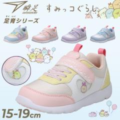 �u�� ���݂��R���炵�R���{ �L�b�Y�V���[�Y ���̎q 15-19.0cm ���L3E �q���C �V�����\�N ����V���[�Y �������� �L�b�Y�X�j�[�J�[ �L����