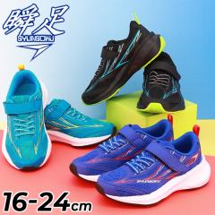 �u�� �X�j�[�J�[ �L�b�Y �W���j�A �j�̎q 2.5E�� 16-24cm �q���C �V�����\�N �E�B���O�X���C�_�[ �L�b�Y�V���[�Y �^���C �S���R �q�ǂ� 