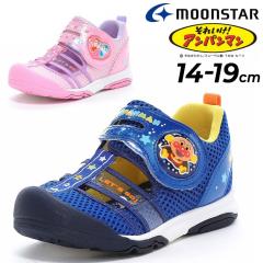 �A���p���}�� �L�b�Y �T�}�[�V���[�Y �������p 14-19cm 2E �q���C �E�H�[�^�[�V���[�Y�b�h�L������� �R�L������� �L�����N�^�[ �q�ǂ� 