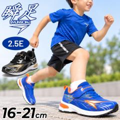 �u�� �X�j�[�J�[ �L�b�Y �W���j�A �j�̎q 2.5E �q���C 16-21cm �^���C �y�� �^�t ���� ���E��Ώ̃\�[�� �ʊw �̈� �^���� �������� ���w