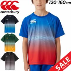 J^x[ LbY  TVc 120-160cm q canterbury WjA g[jOeB qǂp Or[ X|[cEFA z