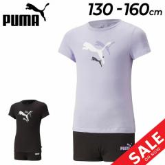 �v�[�} �L�b�Y ����T�V���c �V���[�g�p���c 2�_�Z�b�g/PUMA �q���� ���̎q 130-160cm �q�X�|�[�c�E�F�A �㉺�g �q�ǂ� �g���[�j���O ���i
