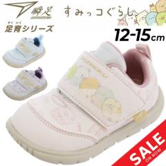 �x�r�[�V���[�Y �u�� ���݂��R���炵�R���{ �V�����\�N ����V���[�Y ���̎q 12-15cm | 4E �q���C �x�r�[�C �L�b�Y �X�j�[�J�[ �q�ǂ� �^