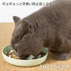 �y�b�g�M �L�p �y�b�g�p�H�� �G�T�M �G�T���� ��16�~16�~2.8cm �����~������ �M���M������ ���� ���H���h�~ �얞�h�~ �l�R�p �˂��p �u��