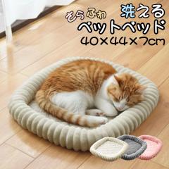 �y�b�g�x�b�h �􂦂� �H�~ ����~�� ��40�~44�~7cm �t�����l�� �R�[�f�����C�� �q�L �L �q�� �� �ӂ�ӂ� �A�C�{���[ �O���[ �s���N