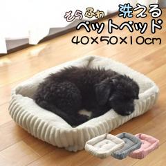 �y�b�g�x�b�h �􂦂� �H�~ ����~�� ��40�~50�~10cm �t�����l�� �R�[�f�����C�� �q�L �L �q�� �� �ӂ�ӂ� �A�C�{���[ �O���[ �s���N