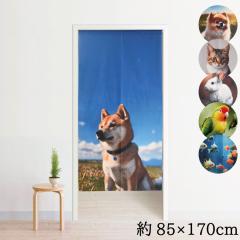 �̂�� �g�� ������� �􂦂� 170�� ��85�~170cm �ډB�� �Ԏd�؂� �^�y�X�g���[ �I���W�i���v�����g �]�� �v�����g �Ɩ��p �~���[���[�X 