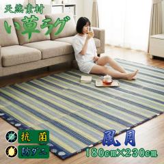 ���� ���O �� ��~�� �R�� �h�_�j �V�R�f�� ��180�~230cm �� �c�� ���� �Z���^�[���O �T�}�[���O �a �a���_�� �u���[